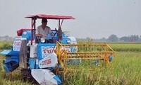 Destacan en Asia-Pacífico importancia de las estadísticas de agricultura