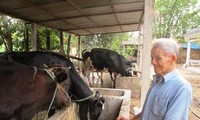 Cambios notables en la edificación campestre de Ciudad Ho Chi Minh