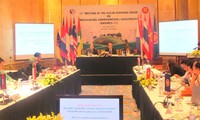 Vietnam, junto con naciones de ASEAN, aboga por protección ambiental