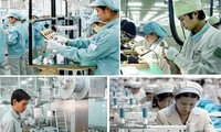 22 empresas vietnamitas se han beneficiado de prioridades aduaneras 