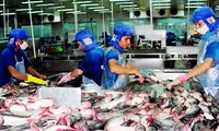 Cargas tributarias de Estados Unidos contra los pescados de Vietnam