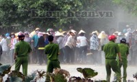 Esclarece Vietnam incidente presión religiosa en Nghe An