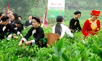 Inauguran Festival Internacional de Té en Thai Nguyen