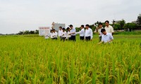 Transformaciones en área rural de Hai Duong