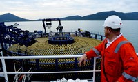 Comienza en Vietnam construcción de cable submarino de mayor calibre del Sudeste Asiático