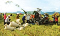 Vietnam logra modernizar su agricultura nacional