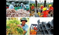 Vietnam en 2014: Potenciar fuerzas internas para desarrollarse