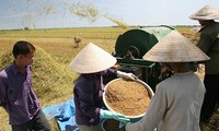 Iniciales logros en construcción de nuevo campo en Ciudad Ho Chi Minh