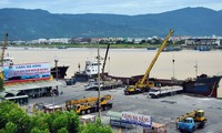 Puerto de Da Nang recibe primer barco turístico del Año Nuevo Lunar del Caballo