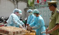 Vietnam dispuesto a responder a enfermedades causadas por gripe A 