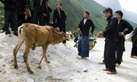 Característico bazar de animales domésticos de Ha Giang