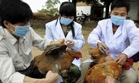 Listo Ministerio de Salud de Vietnam para enfrentar  epidemias