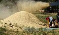 Venezuela garantiza alimentos de mayor calidad para su pueblo