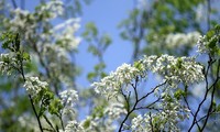 Bienvenido el mes de Abril!