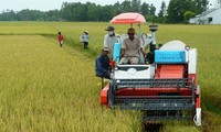 Dac Lac: ejemplo de movilización de fuerzas populares en construcción de nuevo campo