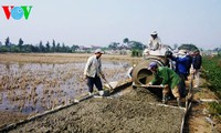 Fuerza comunitaria: determinante en nuevo campo en Nam Dinh