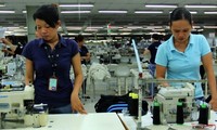 Vietnam mantiene la estabilidad productiva para las empresas extranjeras