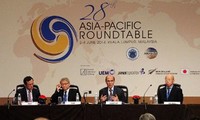 Vietnam asiste a la Mesa Redonda de Asia Pacífico 28