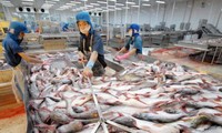 Reestructuran la industria de producción de pangasius