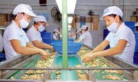 Buscan nuevos mercados para los productos agrícolas exportadores de Vietnam 