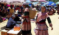 Vietnam por convertir a provincia Lao Cai en centro económico montañoso