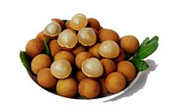 Modelo del cultivo de longan según el estándar VietGAP