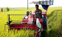 Mecanización, una opción de productividad en agricultura 