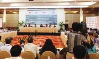 Foro Económico de Verano de Vietnam centrado en reestructuración económica