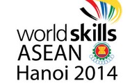 Vietnam aspira al campeonato de Concurso de Habilidad Profesional de ASEAN