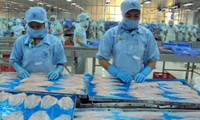 Brasil, el mayor mercado de filetes de pescado congelados de Vietnam