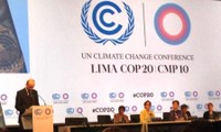 COP 20: la espera de un acuerdo universal