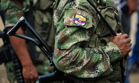 FARC de Colombia ponen en libertad  a soldado gubernamental 