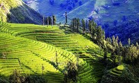 Muong Hoa, poético paraje en Sapa, Lao Cai 