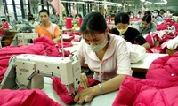 Vietnam por 29 millones de trabajadores con seguros sociales para 2020