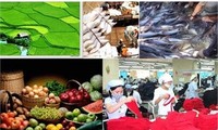 Registra Vietnam en primer trimestre exportaciones por 40 mil millones de dólares 