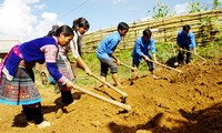 Jóvenes de Lai Chau unen sus manos para modernizar la ruralidad 