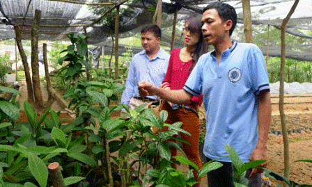 Joven que prospera con plantas medicinales 