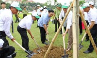 Hacia una economía verde en Vietnam en protección del medio ambiente