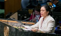 Comprometido Vietnam con Convención derechos de discapacitados 