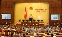 Reforma procesal civil en debates parlamentarios de Vietnam