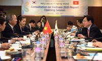 Cooperan Vietnam y Corea del Sur en programa consultivo 