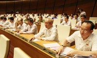 Marcas del noveno pleno del Parlamento vietnamita