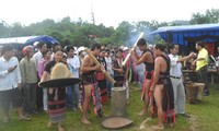 Fiesta en saludo al arroz nuevo de los Raglai