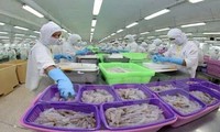 Mejoran competitividad de productos acuíferos de Vietnam