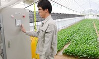 Avanzan hacia una agricultura inteligente en Vietnam