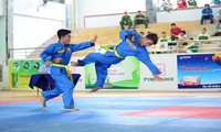 Celebran cuarto campeonato mundial del arte marcial Vovinam 