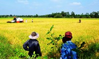 Vietnam consolida mecanismos y recursos para la renovación rural