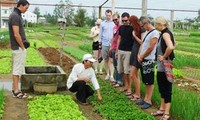 Aldea hortícola de Tra Que entre los 10 destinos más atractivos de Vietnam según Le Figaro 