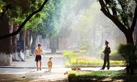 Romántica belleza de las calles hanoyenses en otoño 