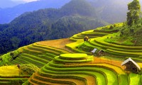 Inaugurada Semana cultural y turística de arrozales en terraza de Mu Cang Chai 2015